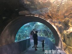 -杭州海底世界