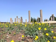 -响堂山石窟-北响堂山石窟