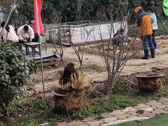 -小鱼草莓采摘园农家乐·小鱼餐厅