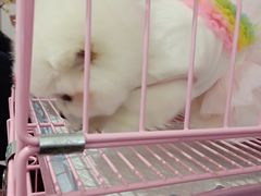 -北京华联购物中心(同成街店)