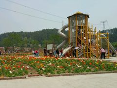 -绵阳盛世樱花悠乐谷