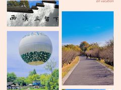 -西溪国家湿地公园