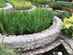 -活水公园