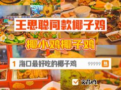 -椰小鸡·琼州糟粕醋·火锅(美兰缤纷城店)