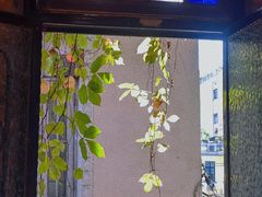 -西关84·History·Art·Cafe