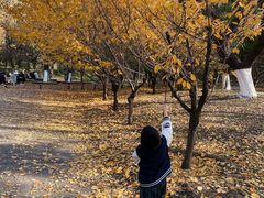 -长白岛森林公园