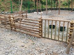 -西部长青自然儿童乐园