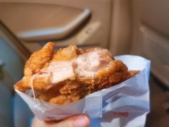 潘老板炸鸡块-潘老板炸鸡(河西万达店)