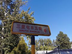 -三里屯东五街银杏大道