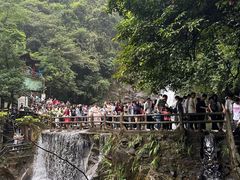 -鼎湖山风景区