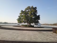 -云里小坐·海泉湾·团建·宴席·下午茶(金堂海泉湾店)