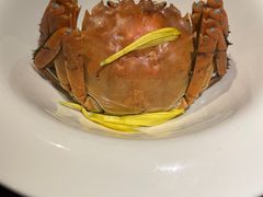 清蒸大闸蟹-蟹榭·莳鲜(虹桥高岛屋店)