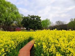 -东方绿舟景区