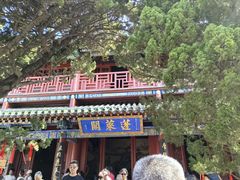 -蓬莱阁景区