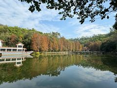-深圳仙湖植物园