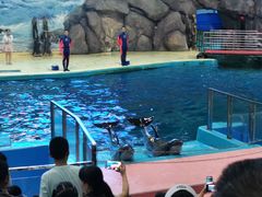 -福州罗源湾海洋世界旅游区