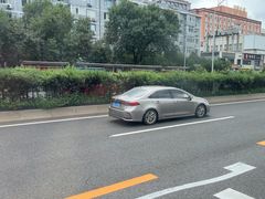 -北京观赏动物医院·24小时大型综合·猫专科·异宠专科
