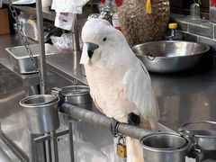 -四海楼(如皋定慧禅寺店)