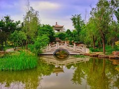 -武清南湖绿博园