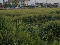 -李东农庄(中南百草园地标店)