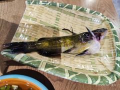 -铭记蛙小仙·活蛙畅享(CBD万达广场店)