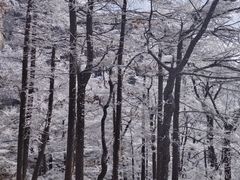 -崂山巨峰游览区