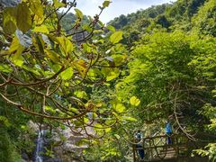 -亚婆田·白水寨生态旅游度假区