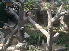 景点-北京动物园