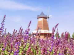 -君乐宝优致牧场