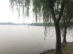 -飞来湖湿地公园