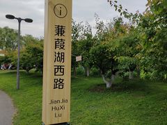 -西安浐灞国家湿地公园