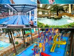 -南宫五洲植物乐园