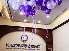 -宠爱国际动物医院· 猫科· 外科·中兽医(长白店)