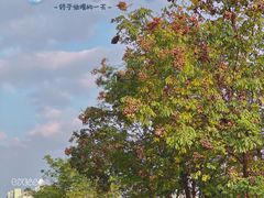 -二里咖啡(上堡公寓店)