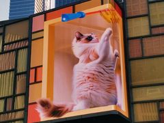 -深圳湾万象城(南山店)