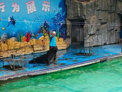 -合肥野生动物园