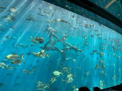 -瑞德姆美人鱼海底演艺主题餐厅(亚龙湾店)