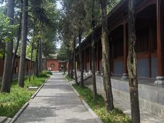 -洛阳白马寺