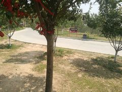 -古柏渡飞黄旅游区