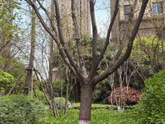 -汉长安城未央宫国家考古遗址公园