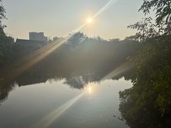 -大亚湾红树林城市湿地公园
