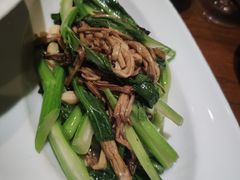 茶树菇炒菜心-北京老铺烤鸭(老城根店)