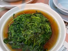 -蘭心餐厅(进贤路店)