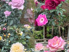 -人民公园(罗湖区)