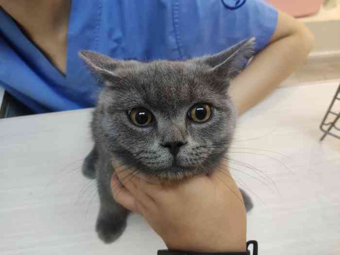 唯宠动物医院(大坪分院)-"【项目】疫苗服务质量:一般般,感觉店.