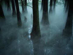 -东湖落雁景区