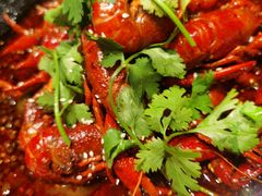 -红辣椒·川菜·火锅(科华路店)