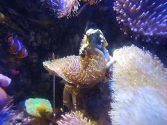 -太平洋海底世界