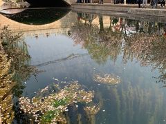 -元大都城垣遗址公园