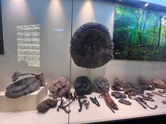 -广东中医药博物馆